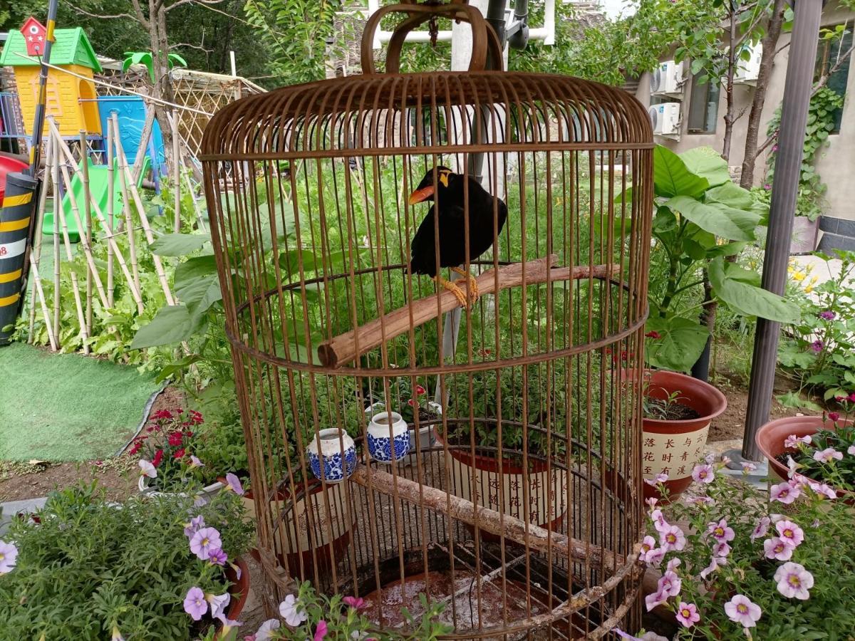 Dong Li Guest House Miyun Dış mekan fotoğraf